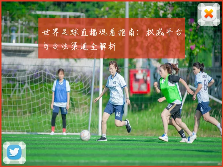 世界足球直播观看指南:权威平台与合法渠道全解析