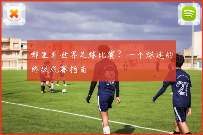哪里看世界足球比赛？一个球迷的终极观赛指南